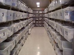 Property Room - Rows of shelves and containers