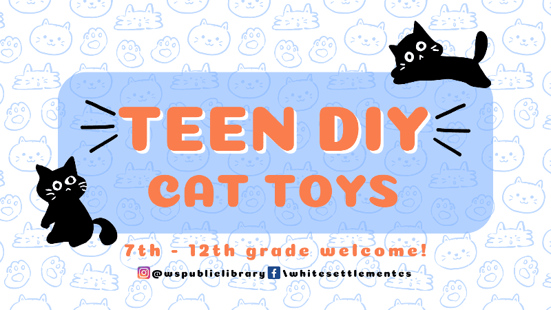 Teen DIY 09.28.24 - Cat Toys