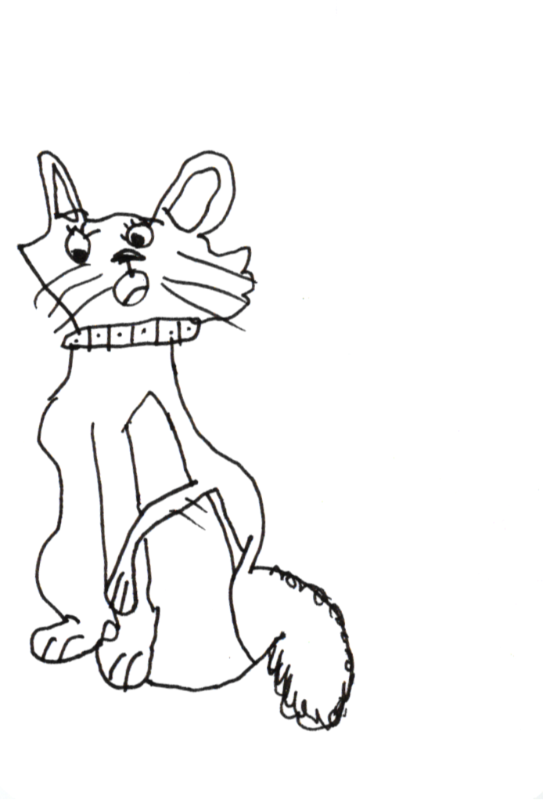 Art card with line drawing of cat