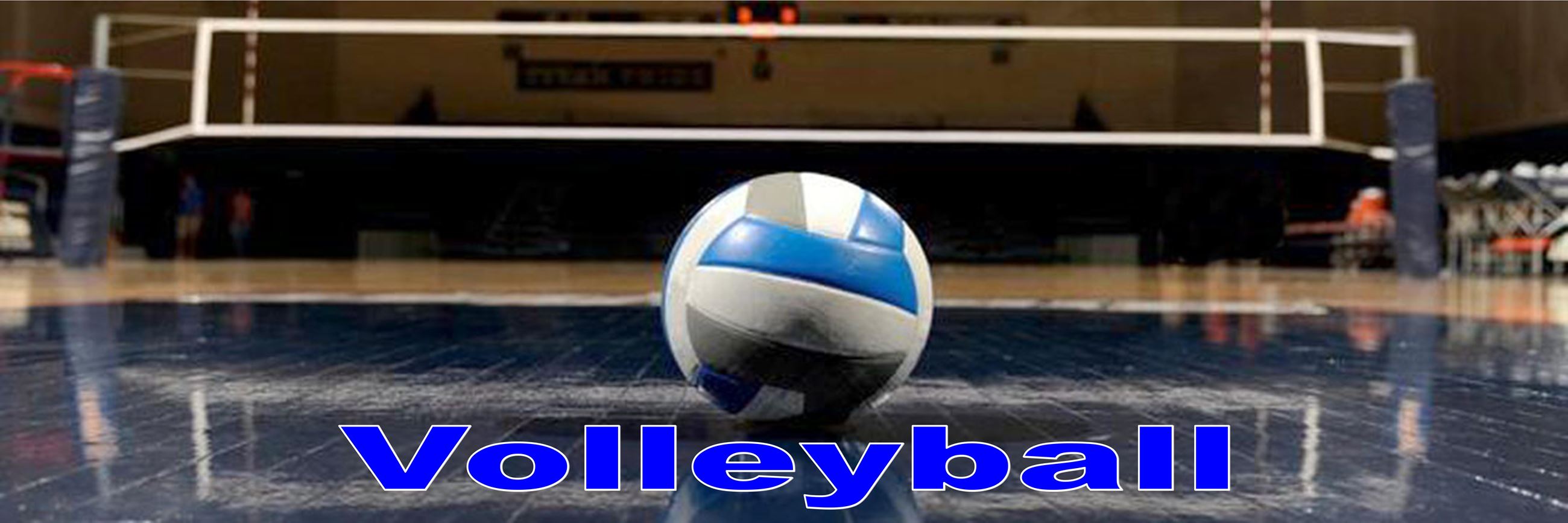 Volleyball for Web