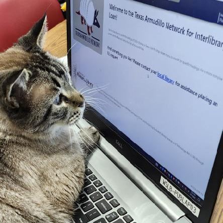 Browser the library cat learning the new ILL system