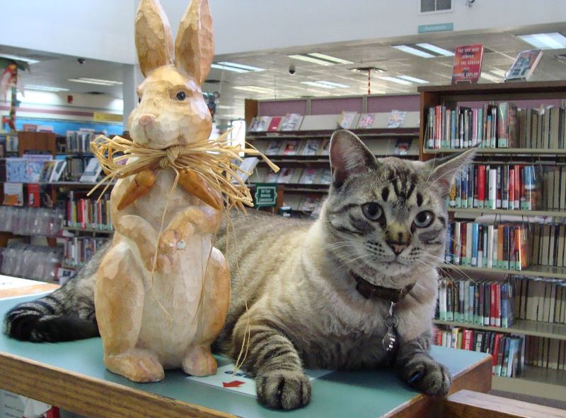 Browser with Easter Bunny